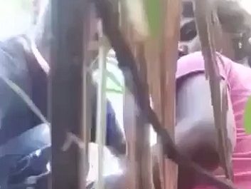 Sugarcane Field Sex Of Horny Village Couple