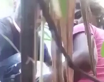 Sugarcane Field Sex Of Horny Village Couple