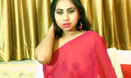 Red Saree Wali (2020) - Ientertainment Hindi Adult Movie