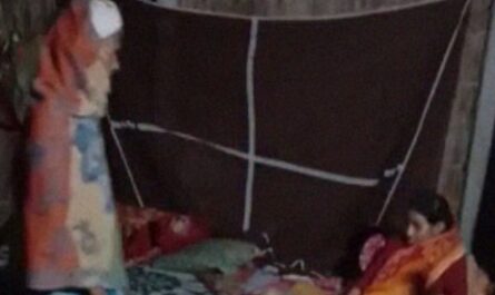 Sasur Bahu Homemade Hot Cam Sex Video